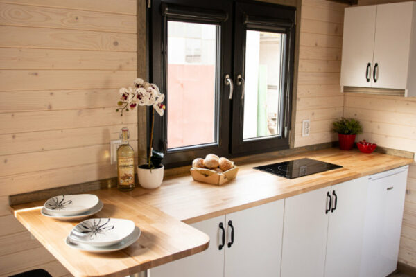 EMILIE_2-10 EMILIE_2-10