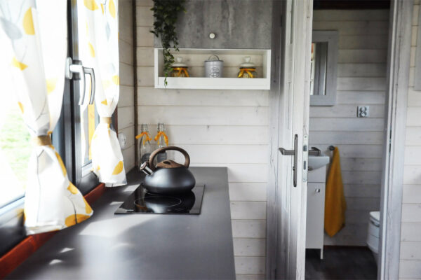 EMILIE_3-21 EMILIE_3-21